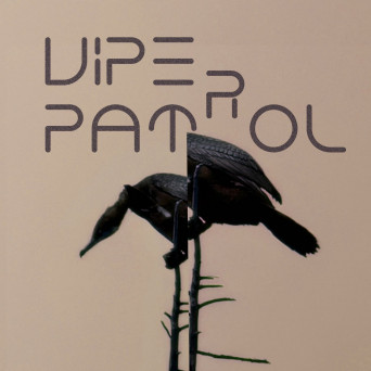 Viper Patrol – EN-EM-ME