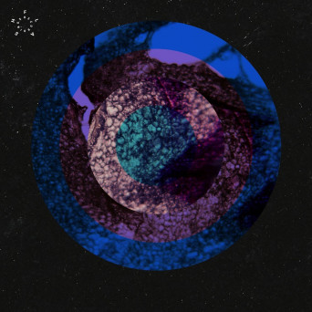 01100110 – Stumbling Blocks of Humankind EP
