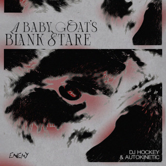 Autokinetic, DJ Hockey – A Baby Goat’s Blank Stare