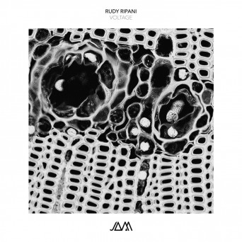 Rudy Ripani – Voltage