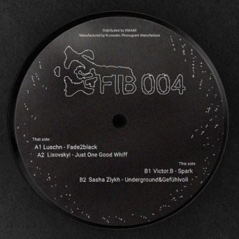 VA – FIB004 [VINYL]