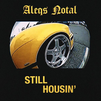 Aleqs Notal – Still Housin’