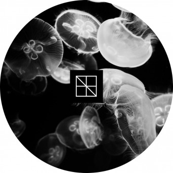 Stijn Vanmarsenille – Underneath The Sea Lies An Ocean Part 2