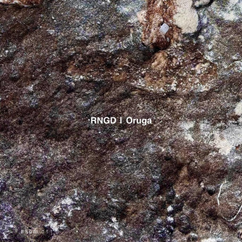RNGD – Oruga