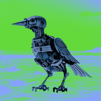 Psycho Weazel – No Future