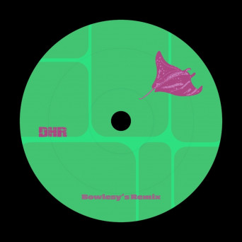 Mark Williams – This or That
