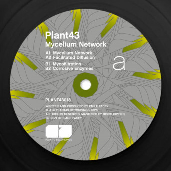 Plant43 – Mycelium Network