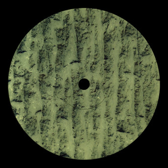 Idu Berg – Dilettantes