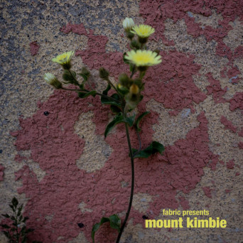 Mount Kimbie – fabric presents