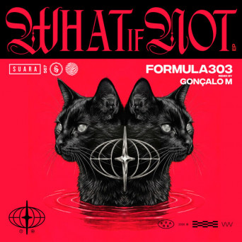 formula303 – What If Not