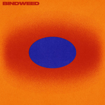 Dusky – Bindweed
