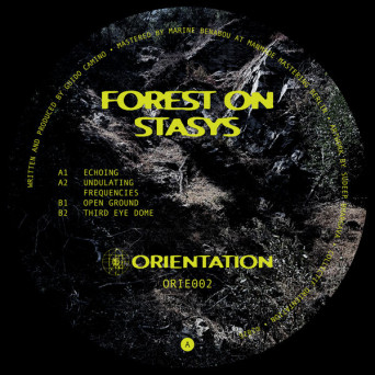 Forest On Stasys – Third Eye Dome