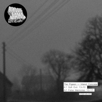 The Pigeon – Inland Concrete