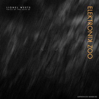 Lionel Weets – Voice of the Void