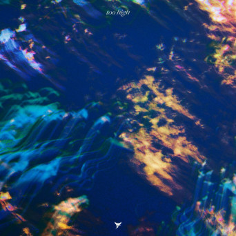 Marsh – Too High