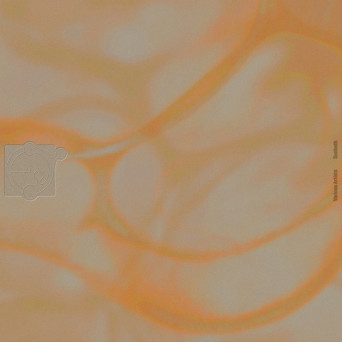 VA – Sunbath