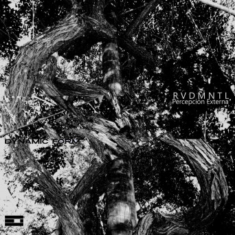 RVDMNTL – Percepción Externa