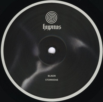BLNDR – Stomiidae