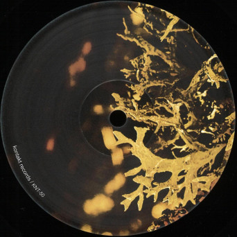 Van Bonn – Detached Trails
