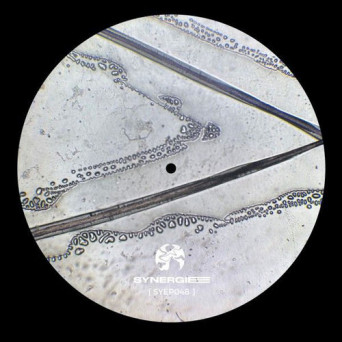 Pont – Vector Protocol (Syep048)