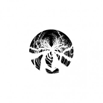 Phasmid – Dark Forest Theory (The Remixes)
