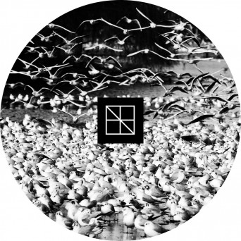 G ROOM – El Caos Perdido