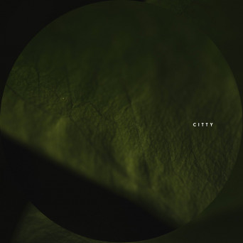Citty – Brain Braker