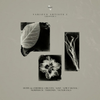 VA – Nexa Various Artists 1.1