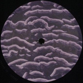 Muzmin – Boojum