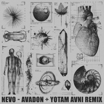 Nevo – Avadon