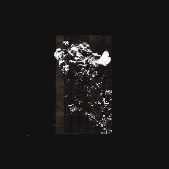 L.Douglas – Residue