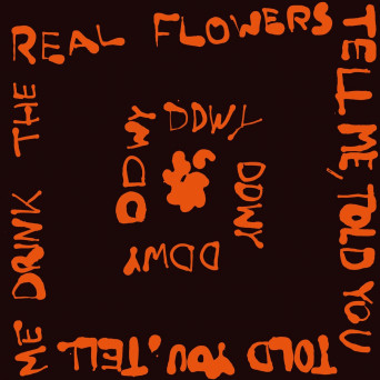 ddwy – Tell Me, Told You