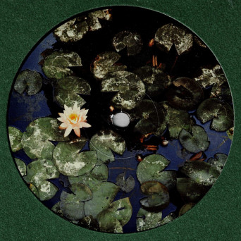 Edward – Familiar Feeling [VINYL]