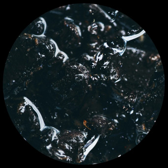 Tarantula Nebula – Unknown Species