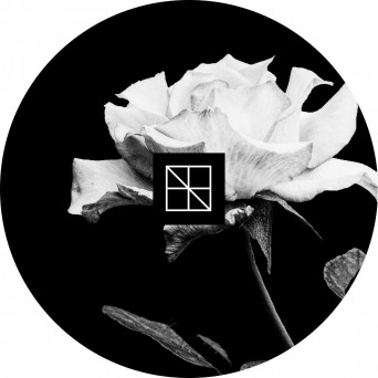 VA – Axiom Veil