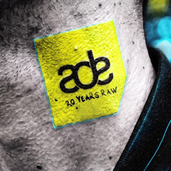 VA – 20 Years of Raw ADE