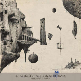 Dj Surgeles – Twisting With James (EVD070)