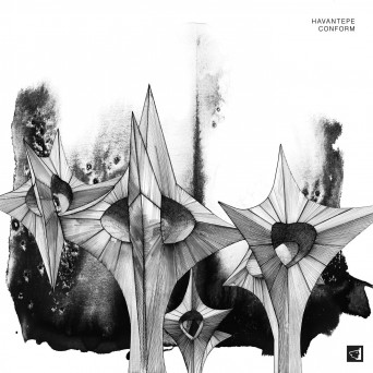 Havantepe – Conform