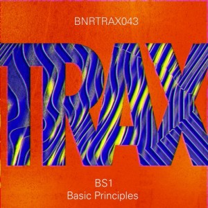 BS1 – Basic Principles